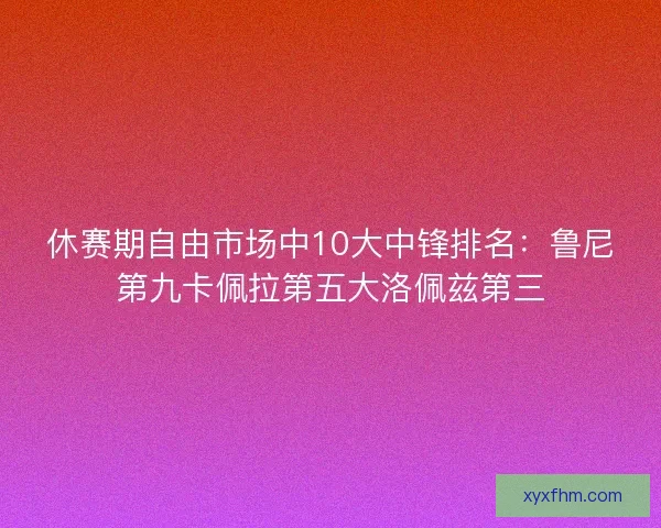 休赛期自由市场中10大中锋排名：鲁尼第九卡佩拉第五大洛佩兹第三