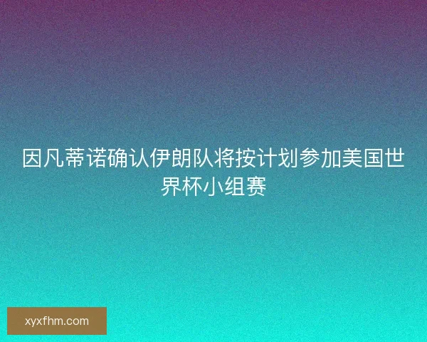 因凡蒂诺确认伊朗队将按计划参加美国世界杯小组赛 因凡蒂诺确认伊朗队将按计划参加美国世界杯小组赛